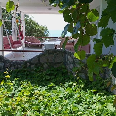 شقة Sea View House Zagradje بار المظهر الخارجي الصورة